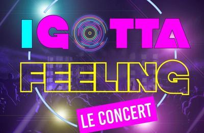 I Gotta Feeling - Le Concert  Rouen