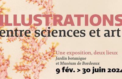 Illustrations, entre sciences et art  Bordeaux