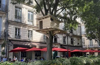 Tree Huts à Montpellier