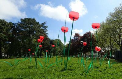 Installation artistique : les mobiles coquelicots  Pouzauges