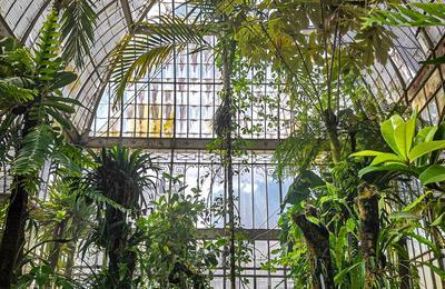 Jardin des Plantes : Le Chant du Palmarium  Nantes