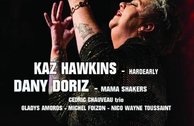 Jazz and Blues Festival 2024