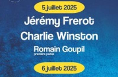 Jeremy Frerot, Charlie Winston et Romain  Lorient