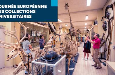 Journe Europenne des Collections Universitaires  Rennes