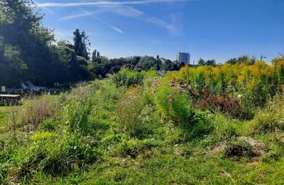 Journes du Matrimoine, Visite ferme florale  Montreuil