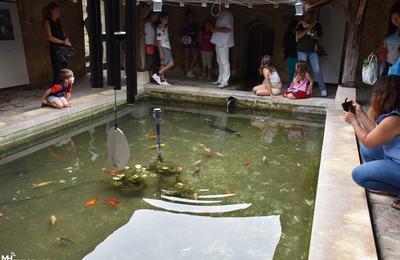 Visite du lavoir Sainte-Genevive  Magny le Hongre