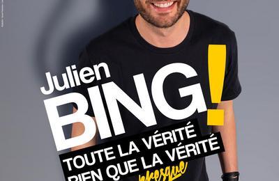 Julien Bing Dans Toute La Verite,  Lille