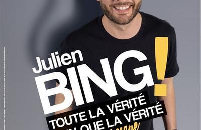 Julien Bing Dans Toute La Vérité, Rien Que La Vérité, Ou Presque à Avignon