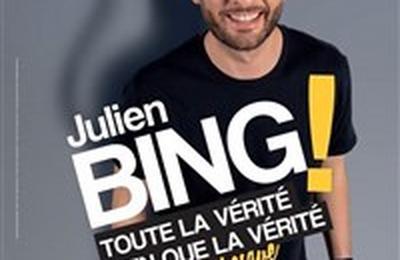 Julien Bing dans Toute la vrit, rien que la vrit, ou presque  Grenoble