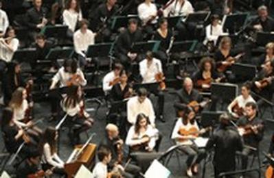 L'amour Sans Fin, Concert Saint Valentin, L'Orchestre National de Cannes