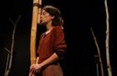 L'envole sauvage  Quimper