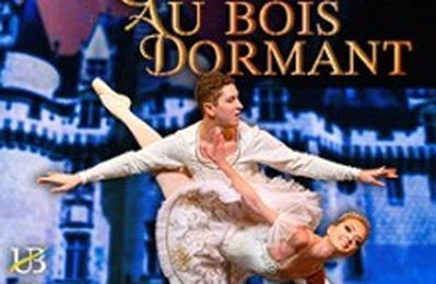 La Belle au Bois Dormant, The Ukrainian Ballet of Odessa  Toulouse