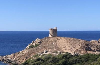 La collectivit de corse propose une visite guide sur le site naturel d'Omigna  Cargese