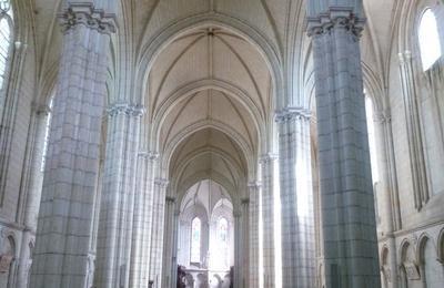 La collgiale Notre-Dame  Le Puy Notre Dame