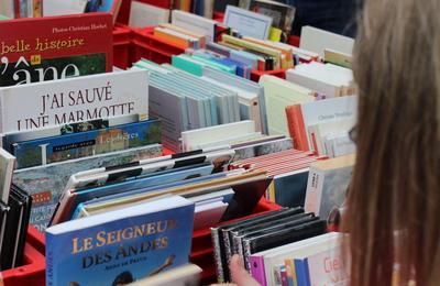 La grande braderie de livres  Reze