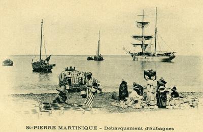 La Guinguette des Dansares de Garlaban  Aubagne