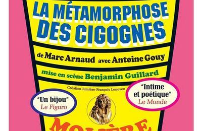 La mtamorphose des cigognes  Paris 2me