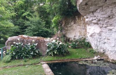 Laissez-vous guider  la dcouverte de plantes aromatiques  Saint Clair