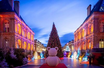 Lancement des illuminations de Noël à Amiens
