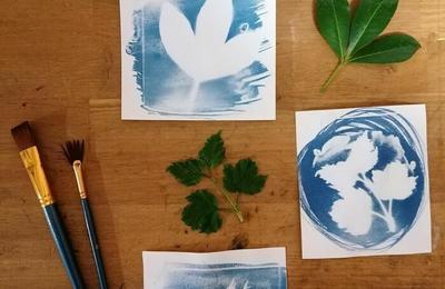 A la dcouverte du cyanotype, atelier en famille  Paris 6me