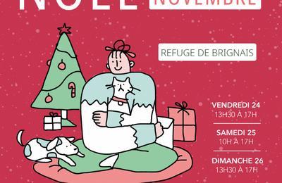 Le Bazar de Nol de la SPA de Lyon 2023  Brignais