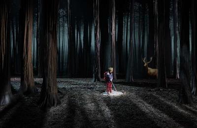 Le Bruit des Loups  Orlans