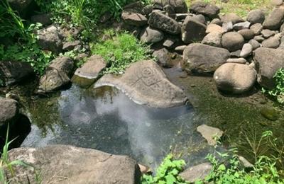 Le caue de la guadeloupe : La Coulisse  Trois Rivieres