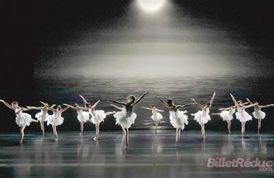 Le Lac Des Cygnes  Versailles