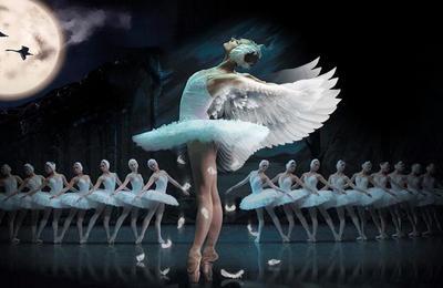 Le lac des cygnes ballet & orchestre  Poitiers