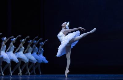 Le lac des cygnes, un spectacle magique  Floirac