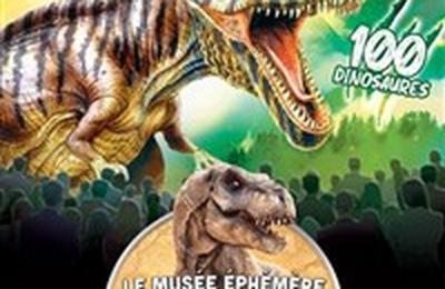 Le muse phmre des dinosaures  Narbonne