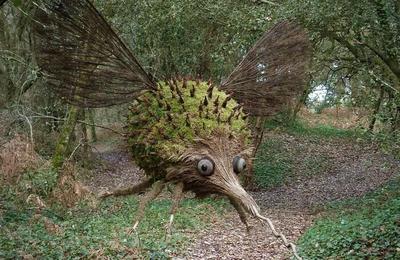 Le parc vous ouvre ses portes, approche artistique de la biodiversit  Saint Georges de Didonne