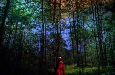 Le Petit Chaperon rouge  Grenoble