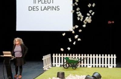 Le Problme Lapin  Chalons en Champagne