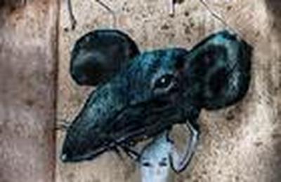 Le Roi des Rats  Orvault