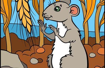 Les aventures du rat patatra à Grenoble
