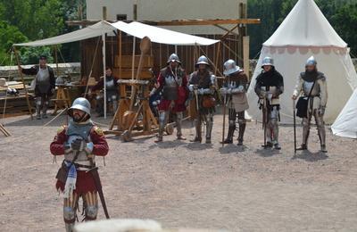 Les chevaliers de l'Ost du Phnix  Montrond les Bains