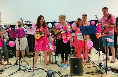 Les Flamingos du ukull club  Montpellier