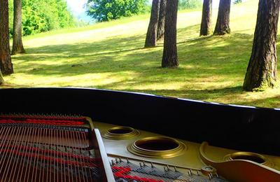 Les Folles Journes du Piano en Avignon