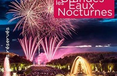 Les Grandes Eaux Nocturnes Electro  Versailles