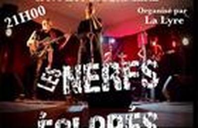 Les Nerfs clops en Concert  La Possonniere