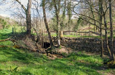 Les Petits Pas du Patrimoine  Sauviat