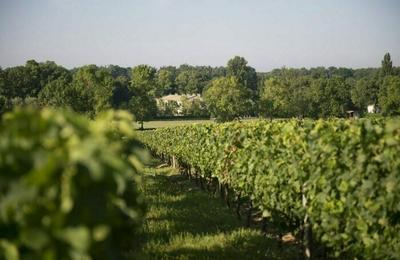 Les portes ouvertes de Saint-Emilion, Lussac, Puisseguin  Montagne