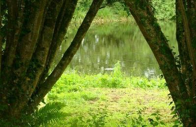 Les Tourbires, des espaces naturels  prserver  Botsorhel