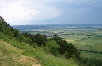 Levez les yeux : le patrimoine naturel et la biodiversit des ctes de Meuse  Bonzee