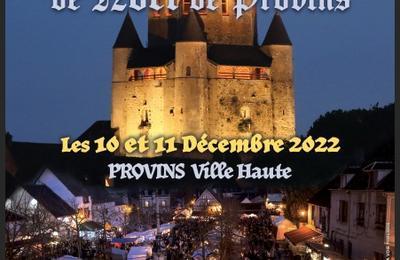 Marché Médiéval de Noël à Provins 2023