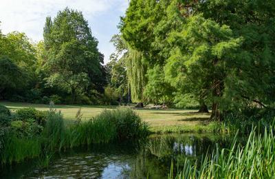 Marche sophronique au Parc Barbieux  Roubaix