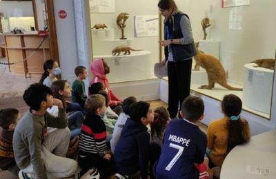 Mdiations postes : les espces animales ocaniennes  Troyes