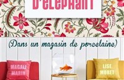 Mmoire d'lphant dans un magasin  Brest