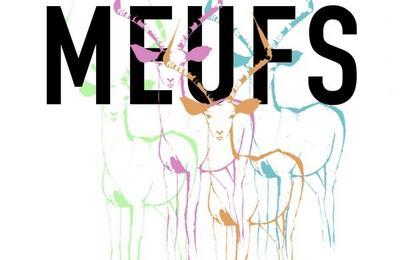 Meufs  Avignon